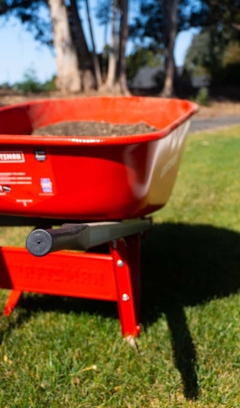 Detalle de jardín con iluminación exterior