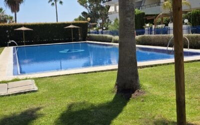 Preparar el jardín para el verano en Nules