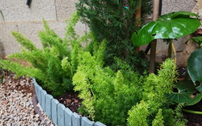 Jardinería ecológica y control de plagas